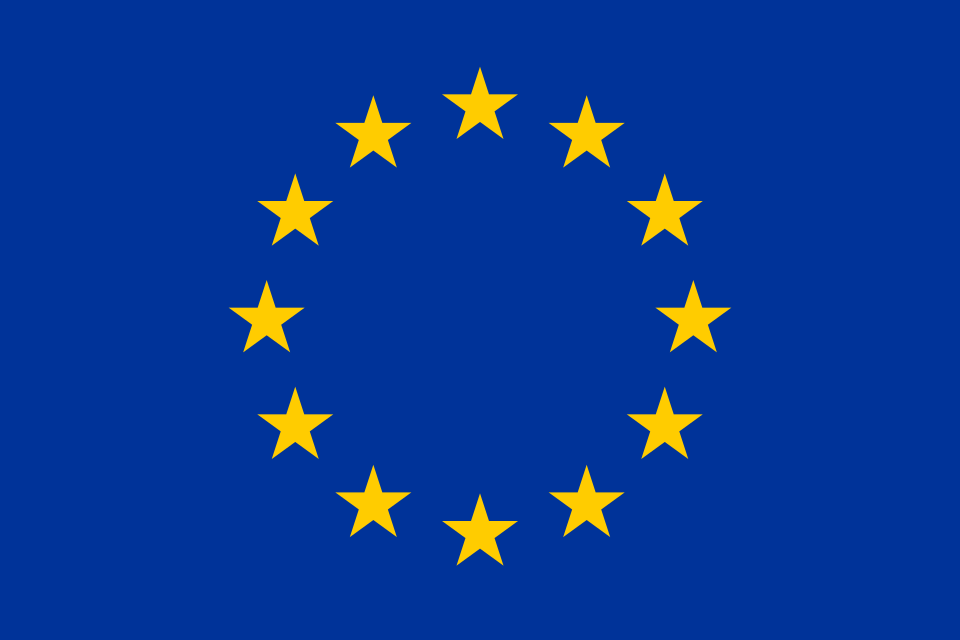 European Union flag representing data protection